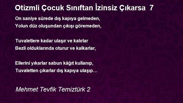 Mehmet Tevfik Temiztürk 2