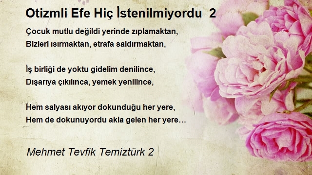 Mehmet Tevfik Temiztürk 2