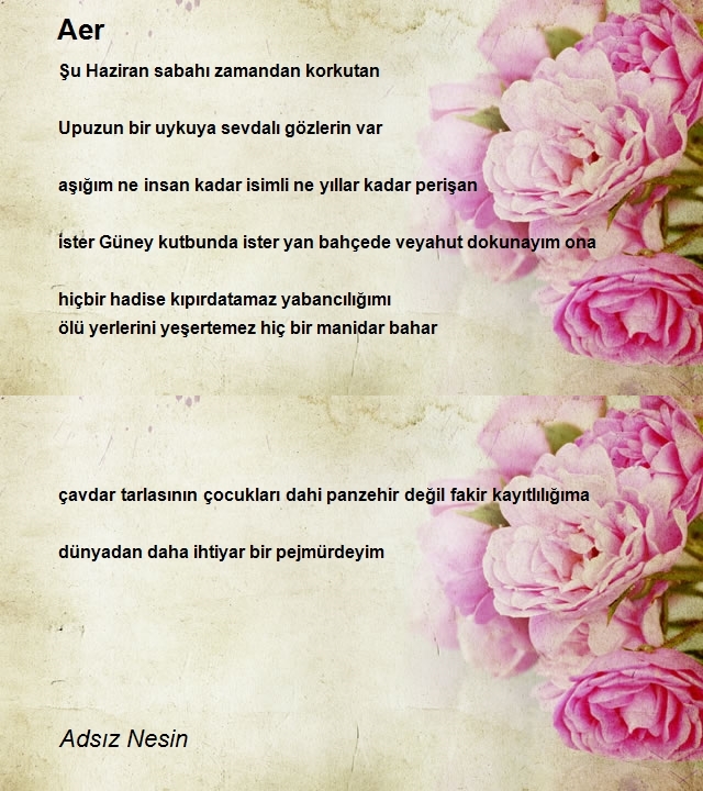 Adsız Nesin