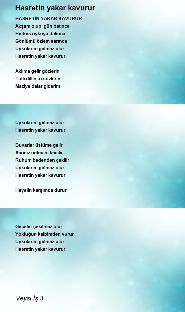 Veysi İş 3