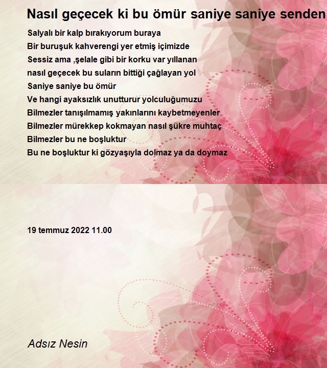 Adsız Nesin