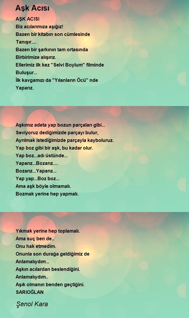 Şenol Kara