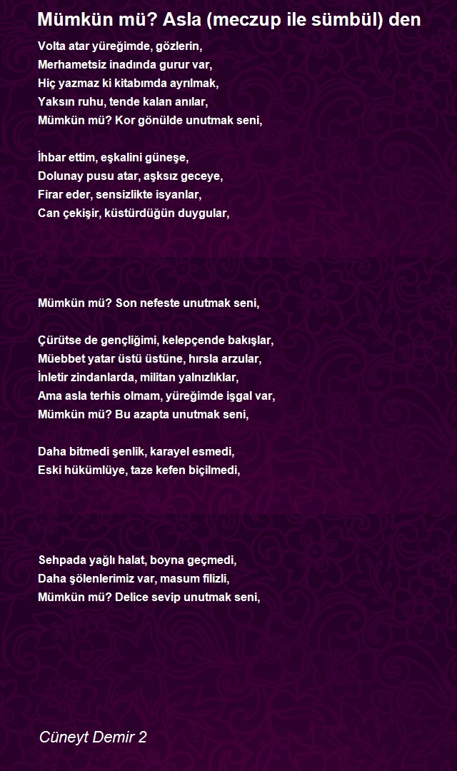 Cüneyt Demir 2