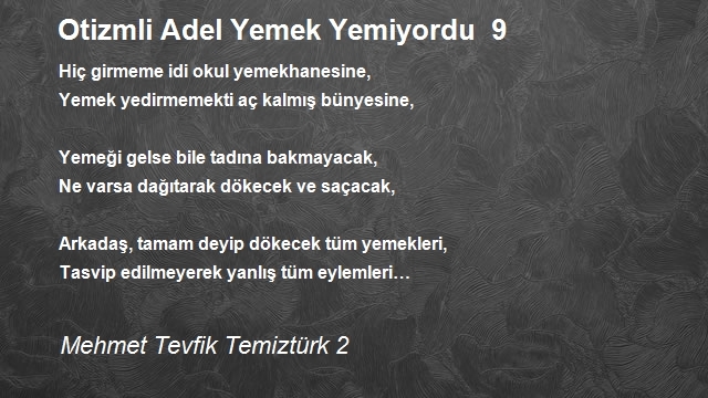 Mehmet Tevfik Temiztürk 2