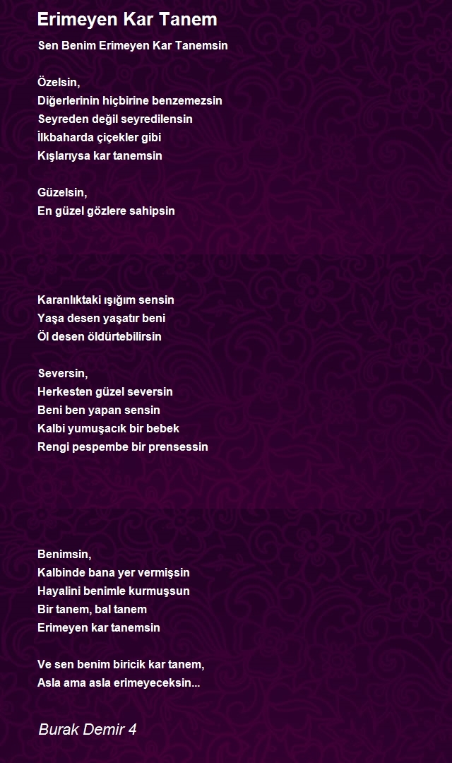 Burak Demir 4