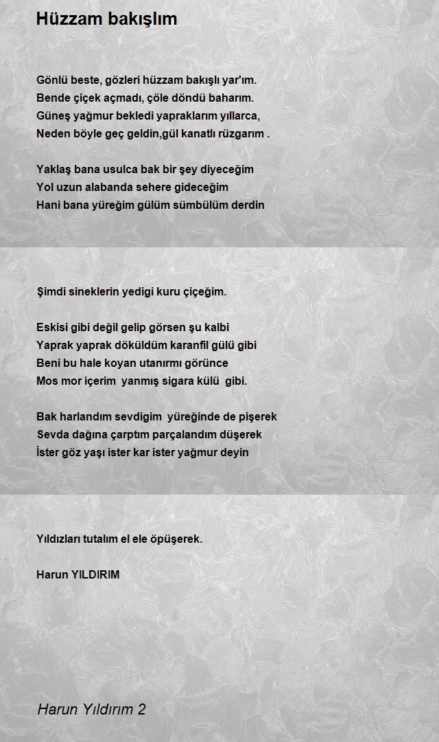 Harun Yıldırım 2