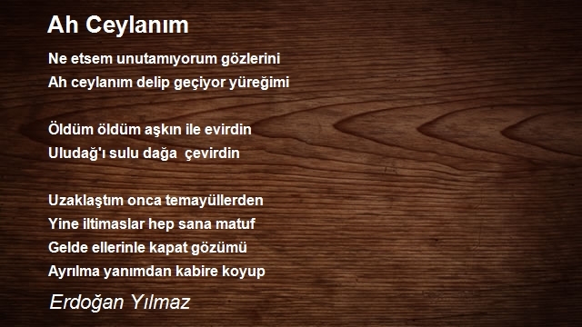 Erdoğan Yılmaz
