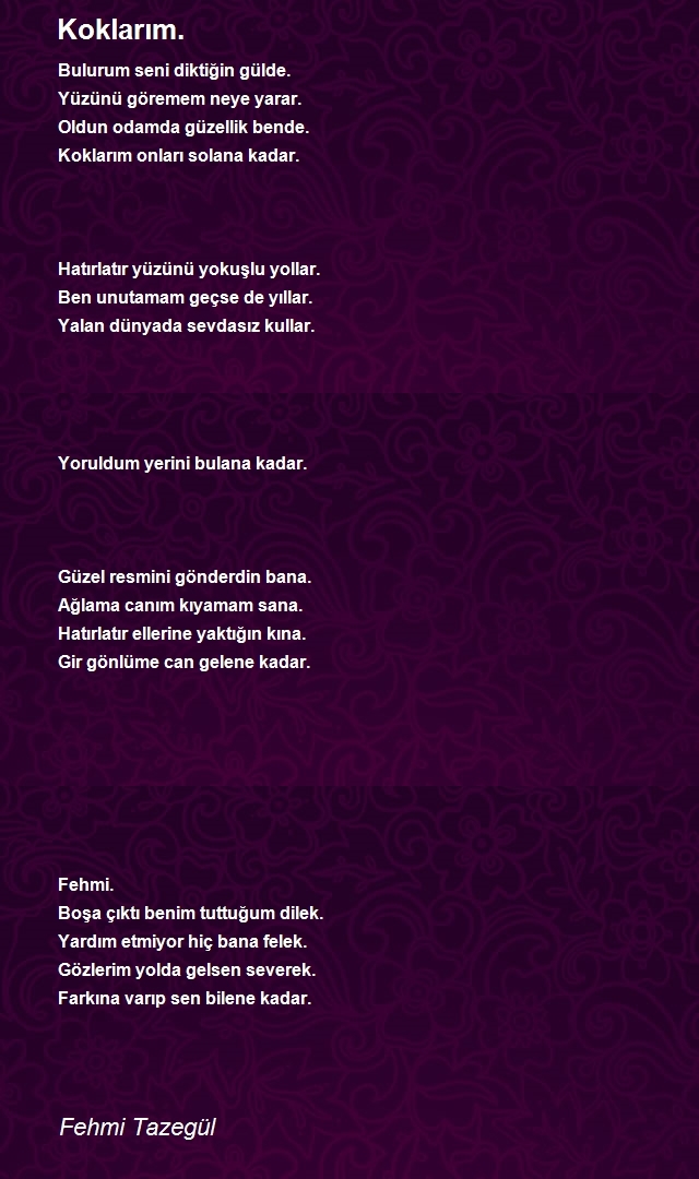 Fehmi Tazegül