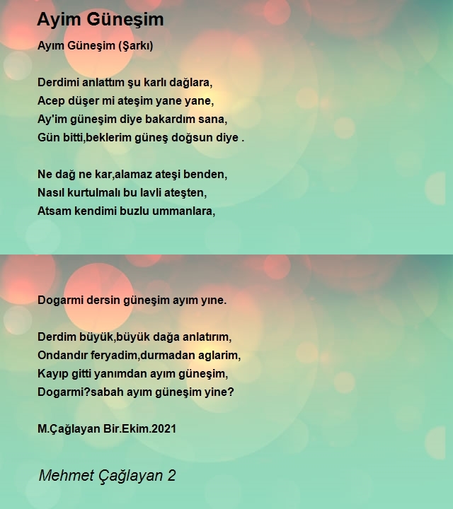 Mehmet Çağlayan 2