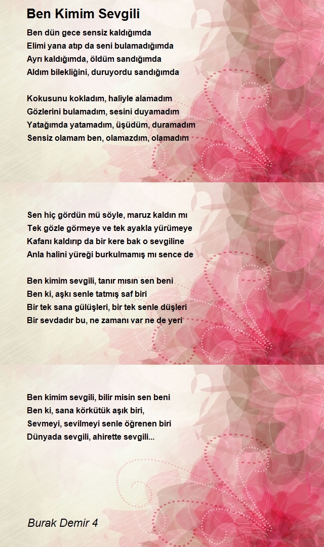 Burak Demir 4