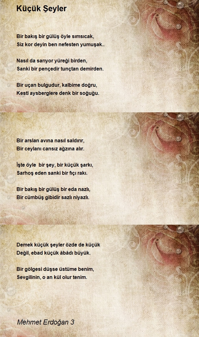 Mehmet Erdoğan 3