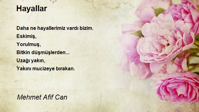 Mehmet Afif Can