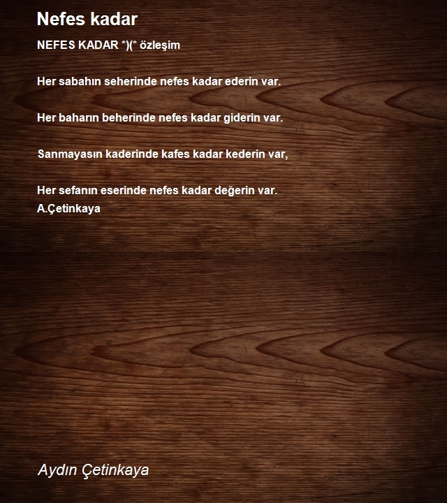 Aydın Çetinkaya