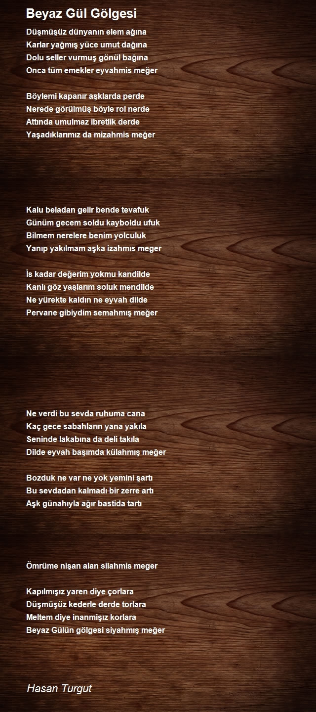 Hasan Turgut