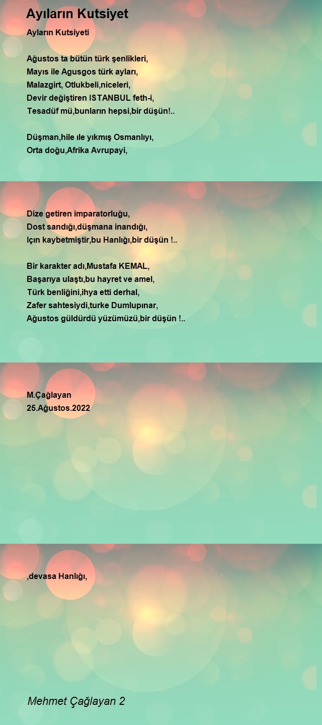 Mehmet Çağlayan 2