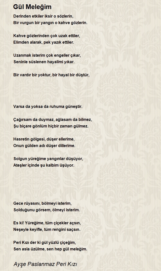 Ayşe Paslanmaz Peri Kızı