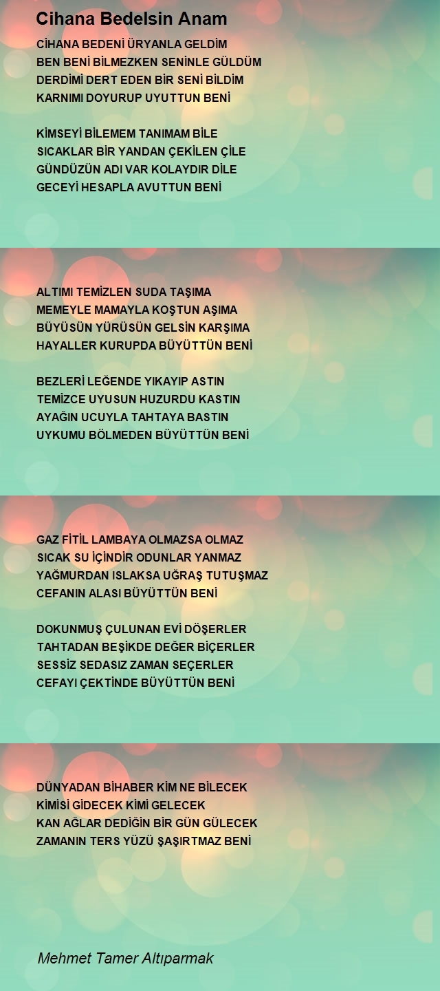 Mehmet Tamer Altıparmak