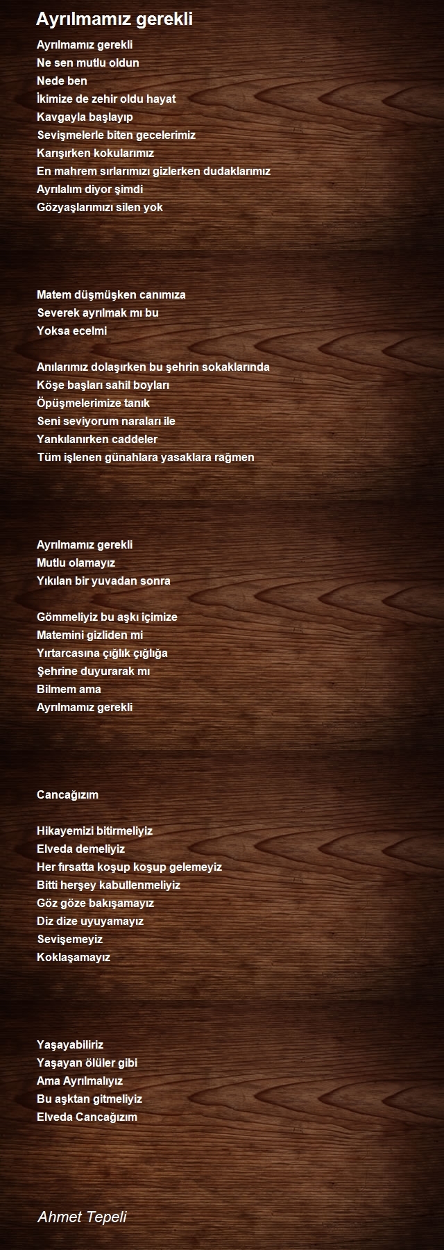 Ahmet Tepeli