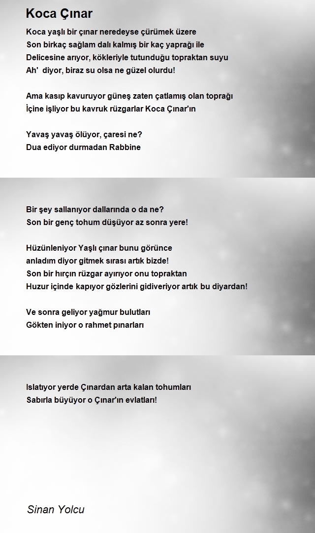 Sinan Yolcu
