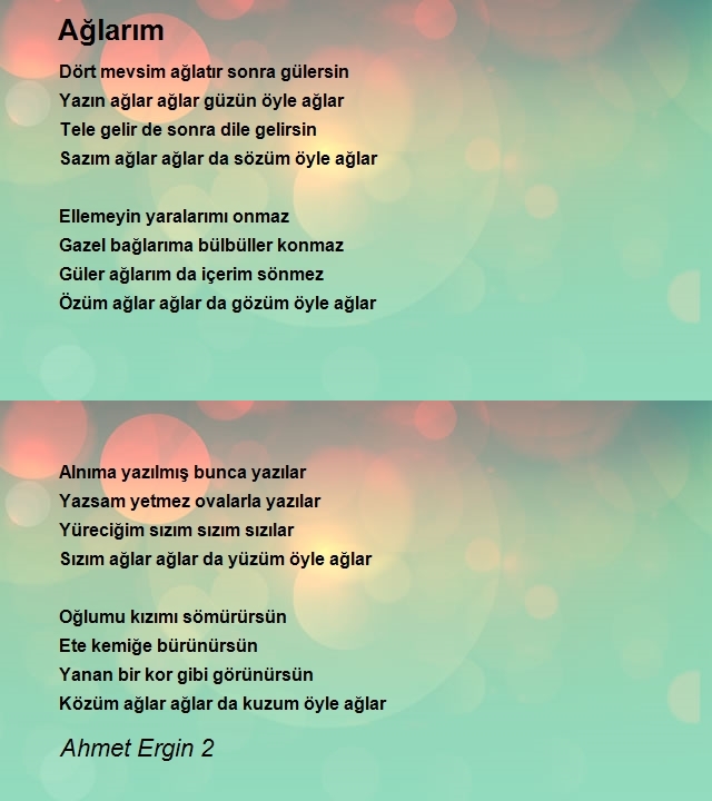 Ahmet Ergin 2