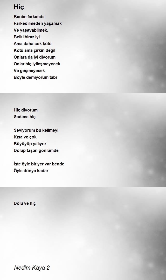 Nedim Kaya 2