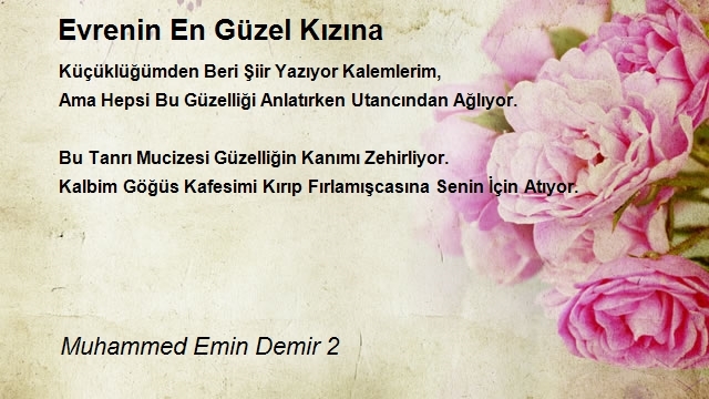 Muhammed Emin Demir 2