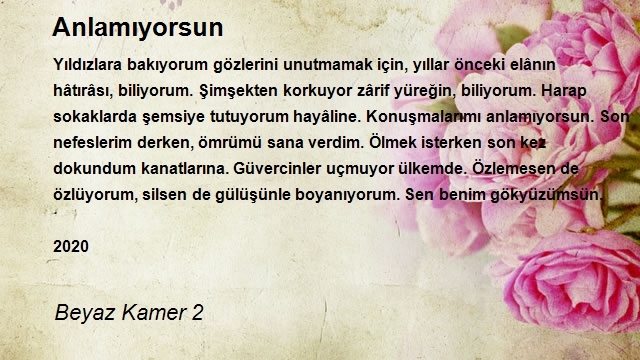 Beyaz Kamer 2