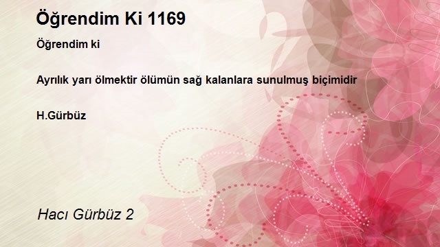Hacı Gürbüz 2
