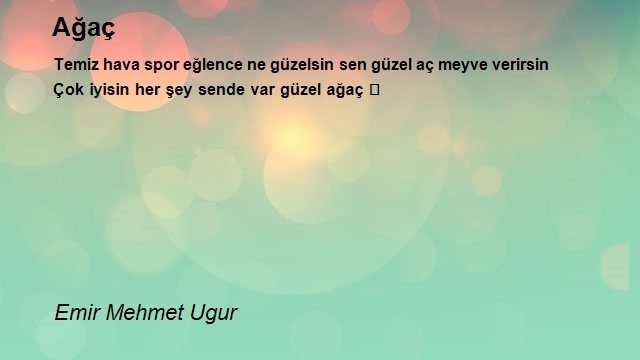 Emir Mehmet Ugur