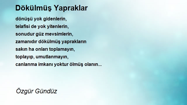 Özgür Gündüz