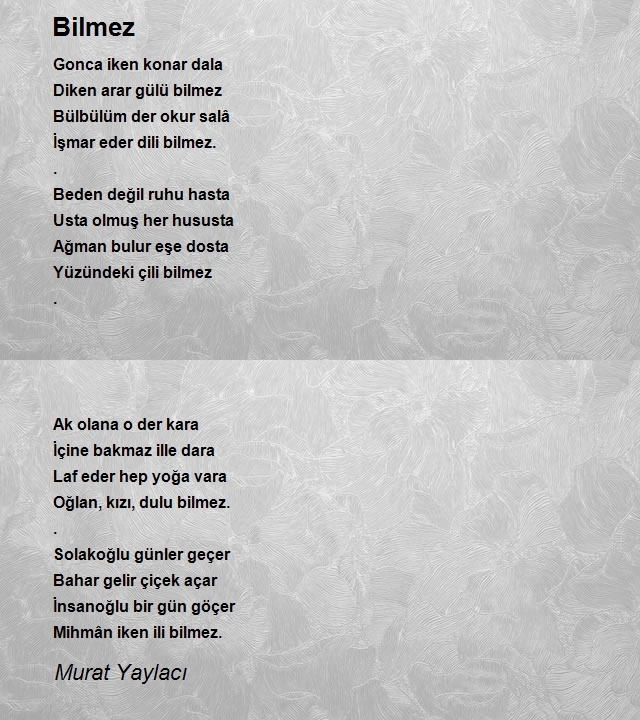 Murat Yaylacı