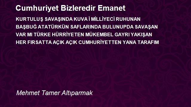 Mehmet Tamer Altıparmak