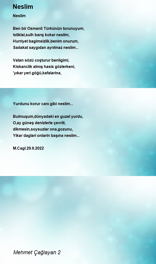 Mehmet Çağlayan 2