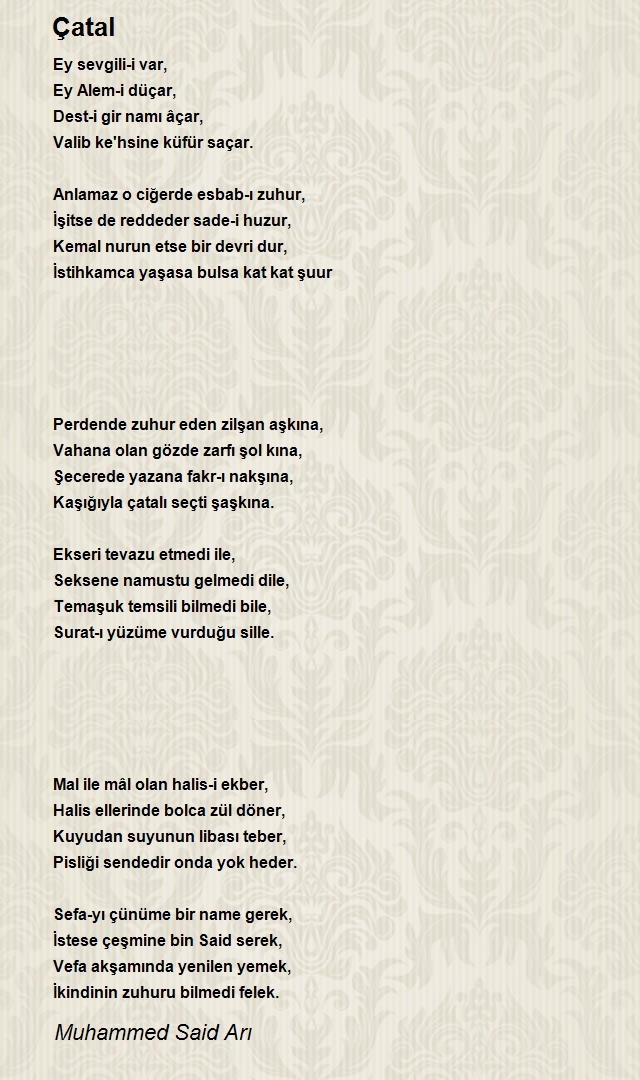 Muhammed Said Arı