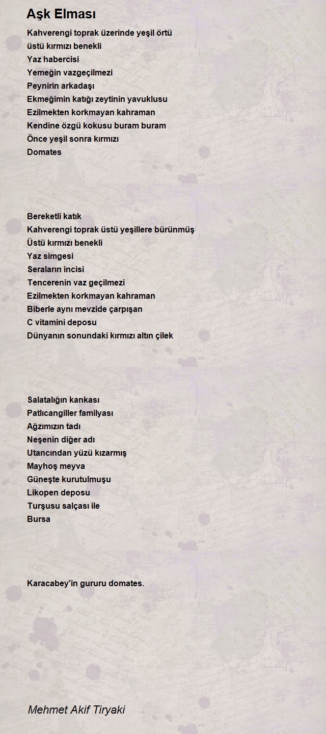 Mehmet Akif Tiryaki