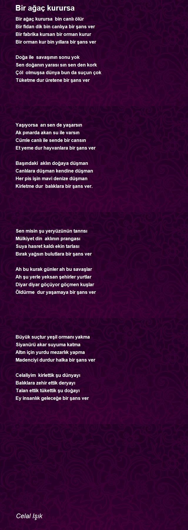 Celal Işık