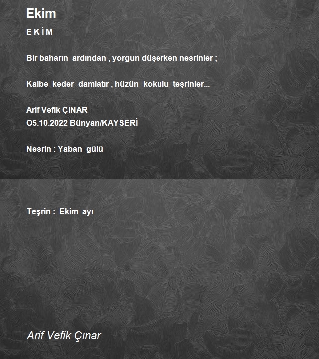 Arif Vefik Çınar