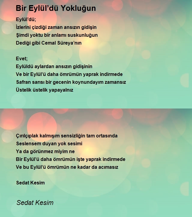 Sedat Kesim