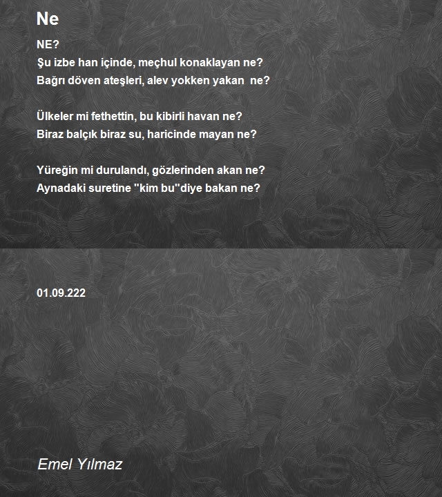 Emel Yılmaz