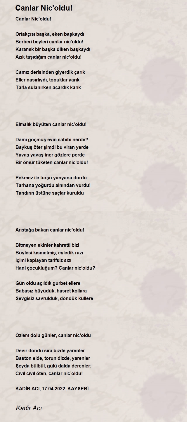 Kadir Acı