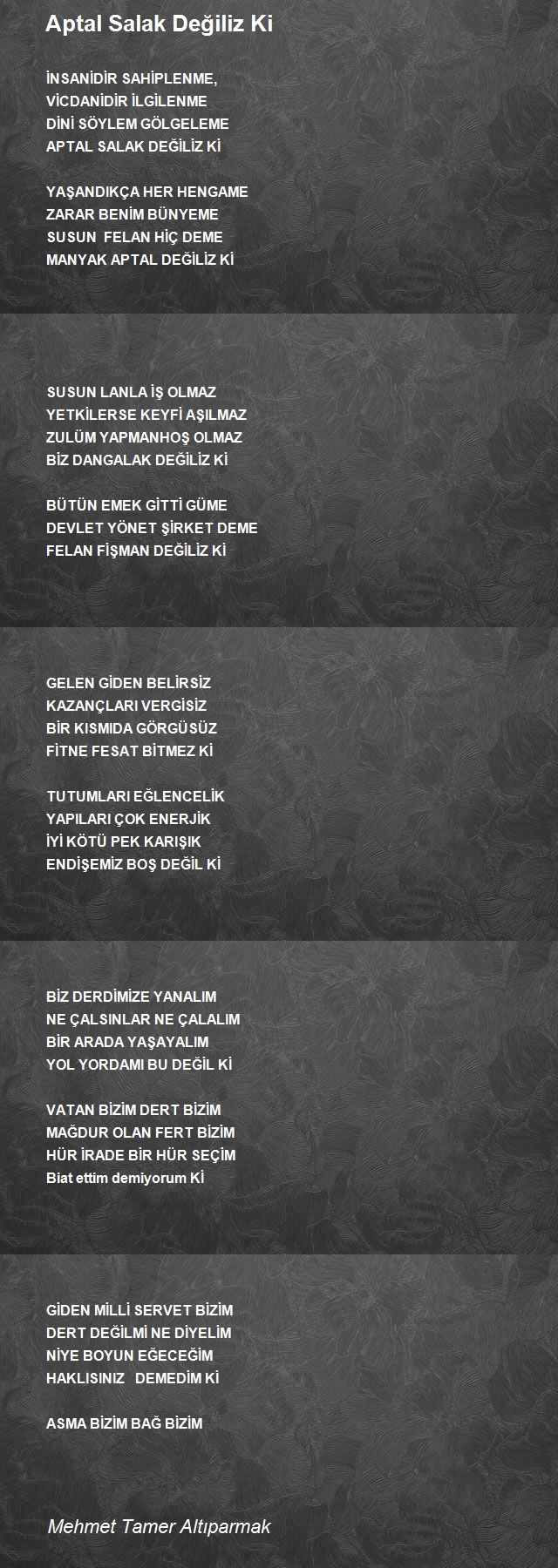 Mehmet Tamer Altıparmak