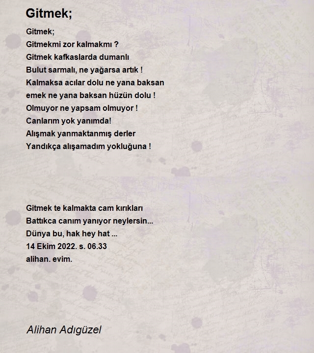 Alihan Adıgüzel