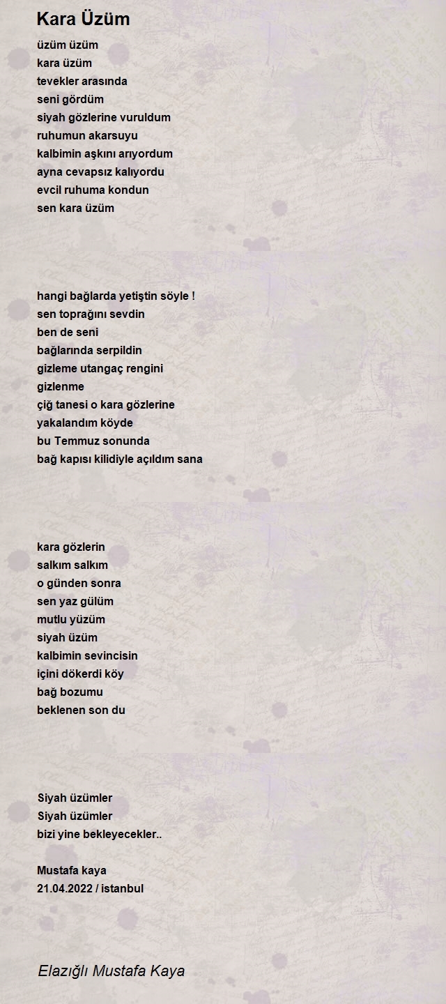 Elazığlı Mustafa Kaya