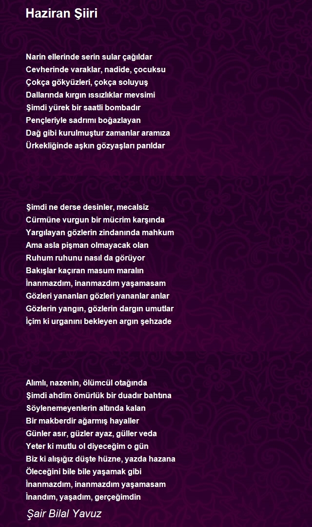 Şair Bilal Yavuz