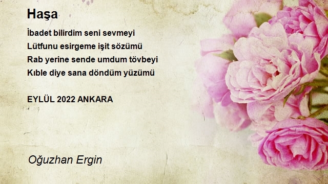 Oğuzhan Ergin