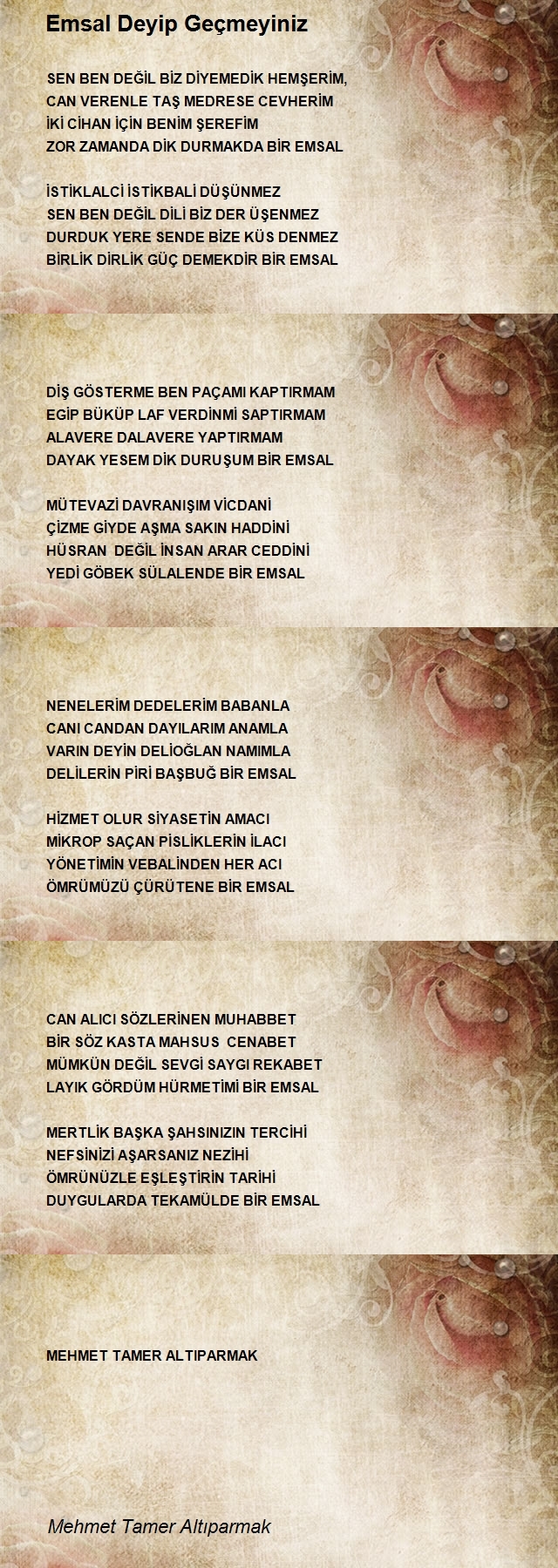 Mehmet Tamer Altıparmak