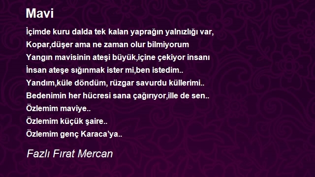 Fazlı Fırat Mercan