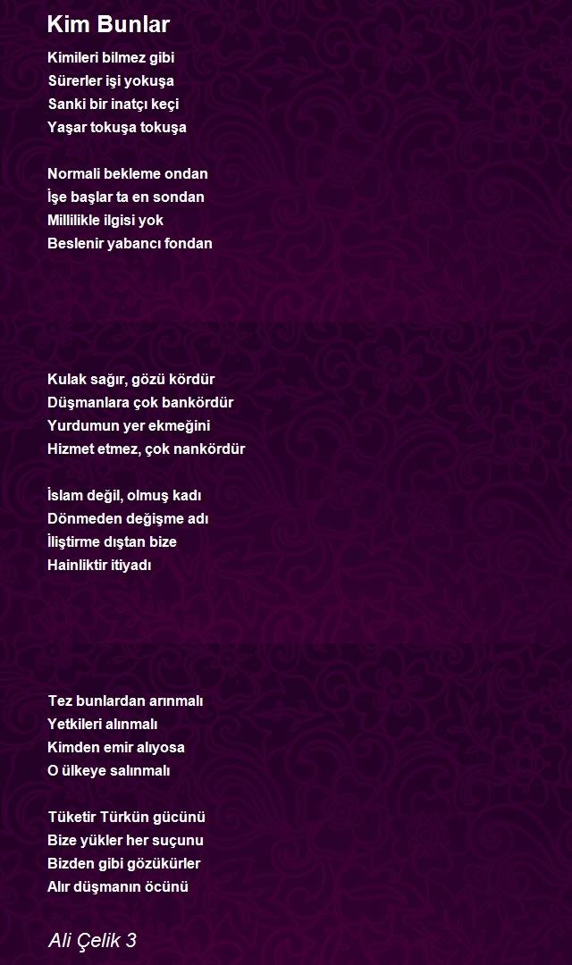 Ali Çelik 3