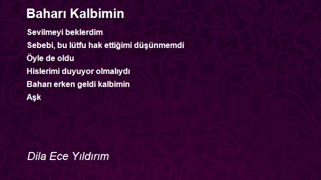 Aşk Aşkın Şehri Ordu
