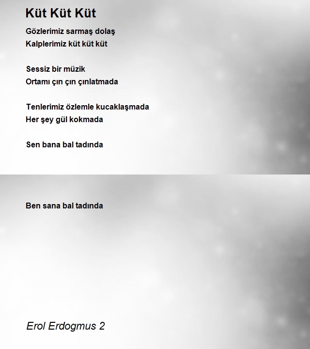 Erol Erdogmus 2
